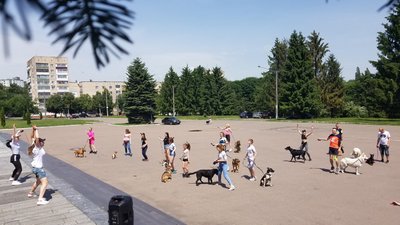 Благодійний забіг із собаками в Рівному. Як це проходить