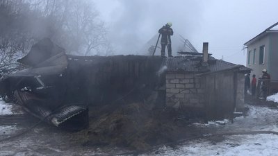 Пожежа на Закарпатті ледь не знищила домашню худобу