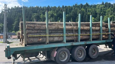На Львівщині затримали директора одного з лісництв на хабарі На Львівщині затримали директора одного з лісництв на хабарі