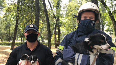 Поліцейські та рятувальники фотографуються із безпритульними тваринами у рамках проєкту "Я вартий порятунку" Поліцейські та рятувальники фотографуються із безпритульними тваринами у рамках проєкту "Я вартий порятунку"