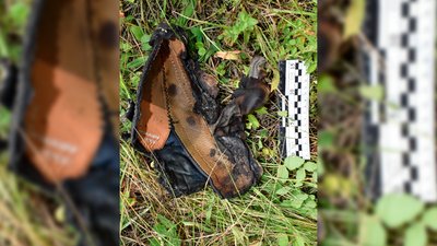 Речові докази вбивства на Чернігівщині: взуття Речові докази вбивства на Чернігівщині: взуття