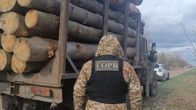 Незаконне перевезення лісу на Житомирщині