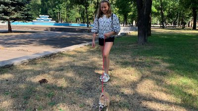 Дівчинка з Кривого Рогу вигулює собак і збирає гроші на допомогу ЗСУ Дівчинка з Кривого Рогу вигулює собак і збирає гроші на допомогу ЗСУ