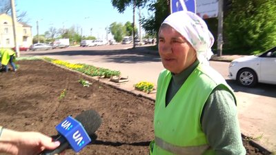 Три з половиною тисячі саджанців квітів висадять на двох міських клумбах Житомира Три з половиною тисячі саджанців квітів висадять на двох міських клумбах Житомира