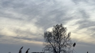 Хмарна погода