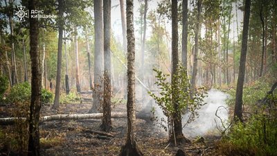 Пожежа в Чорнобильській зоні