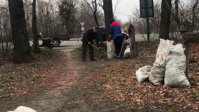 Озеленення та прибирання: як лісівники Черкащини долучилися до Дня довкілля Озеленення та прибирання: як лісівники Черкащини долучилися до Дня довкілля
