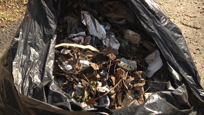У Житомирі близько сотні людей долучилися до акції "Чистий день" У Житомирі близько сотні людей долучилися до акції "Чистий день"