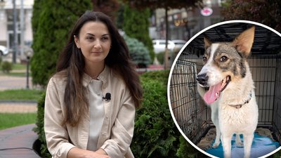 "Вони дуже стресують і налякані": вінницька зооволонтерка розповіла про порятунок тварин на Херсонщині