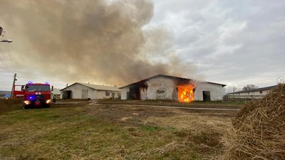 На Тернопільщині горіло приміщення тваринної ферми