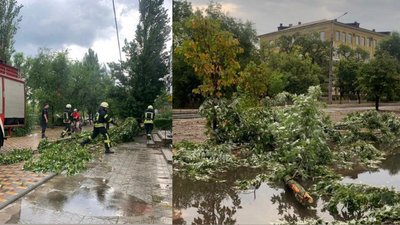 Поламані дерева та обірвані дроти електропередач: Сєвєродонецьком пройшла негода