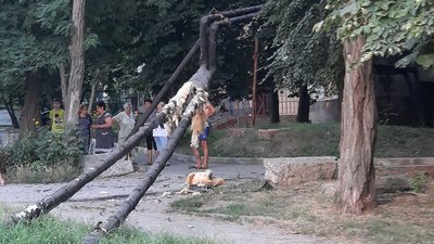 У Кропивницькому автомобіль в'їхав у труби опалення. Є травмована У Кропивницькому автомобіль в'їхав у труби опалення. Є травмована