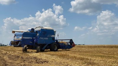 На Миколаївщині почали збір ранніх зернових. Чи вплинув дощ на врожайність На Миколаївщині почали збір ранніх зернових. Чи вплинув дощ на врожайність