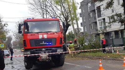 У Львові легкове авто в'їхало у дерево: водій помер У Львові легкове авто в'їхало у дерево: водій помер