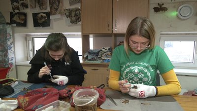 Де зимуватимуть кажани, яких виявили на балконі у дніпровських пенсіонерів. СУСПІЛЬНЕ | ВІДЕОНОВИНИ