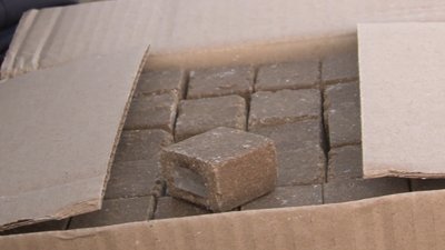 На Черкащині з літаків розкидають вакцину проти сказу На Черкащині з літаків розкидають вакцину проти сказу