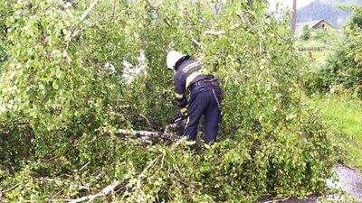 Повалені дерева, підтоплений підвал будинку — наслідки негоди на Закарпатті