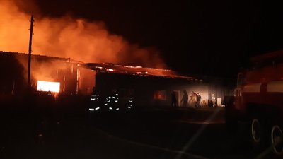 На Харківщині понад три години гасили пожежу на деревообробному підприємстві