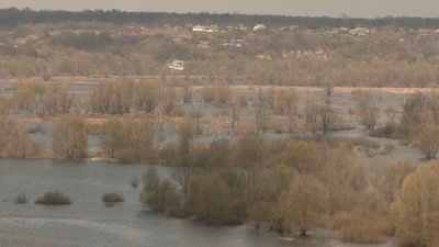Панорама Деснянської заплави Панорама Деснянської заплави