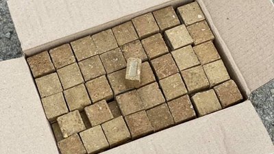 З літака розкидатимуть вакцину. У Чернівецькій області розпочалася імунізація тварин З літака розкидатимуть вакцину. У Чернівецькій області розпочалася імунізація тварин