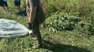 На Черкащині викрили групу наркоділків На Черкащині викрили групу наркоділків