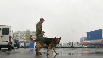 Шукають вибухівку та наркотики: як у Черкасах тренують собак-поліцейських Шукають вибухівку та наркотики: як у Черкасах тренують собак-поліцейських