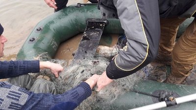 У Франківську в міському озері знайшли браконьєрську сітку із рибою