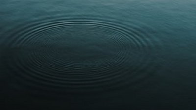 У річці Бистриця Солотвинська на Івано-Франківщині втопився хлопець