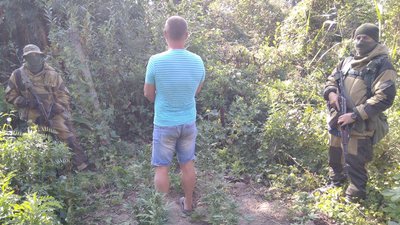 Посеред Дунаю: на острові в Одеській області виявили плантацію конопель Посеред Дунаю: на острові в Одеській області виявили плантацію конопель
