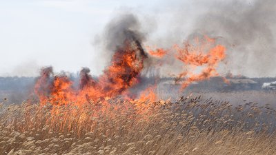 Пожежі в екосистемах Миколаївщини – людська недбалість Пожежі в екосистемах Миколаївщини – людська недбалість