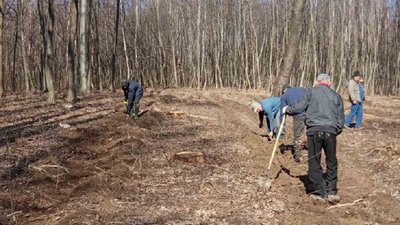 На Прикарпатті стартувала весняна лісокультурна кампанія
