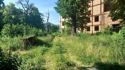 Територія після прибирання влітку Територія після прибирання влітку