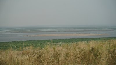 Еколог розповів, що нині в акваторії Каховського водосховища