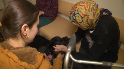 У Львові собака-візитер відвідує літніх людей у пансіонаті У Львові собака-візитер відвідує літніх людей у пансіонаті