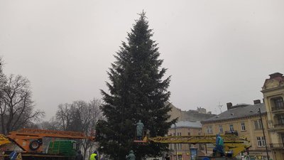 У Львові демонтували головну ялинку У Львові демонтували головну ялинку
