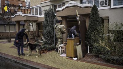 Як волонтери рятують тварин на звільненій Київщині
