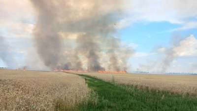 На Харківщині від обстрілу РФ спалахнуло пшеничне поле