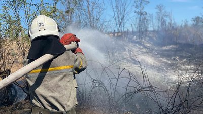 Рятувальник ліквідовує пожежу на відкритій місцевості