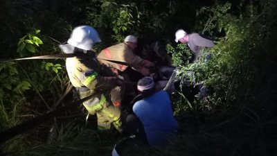 У прикарпатському селі корова застрягла у болоті — витягували рятувальники У прикарпатському селі корова застрягла у болоті — витягували рятувальники
