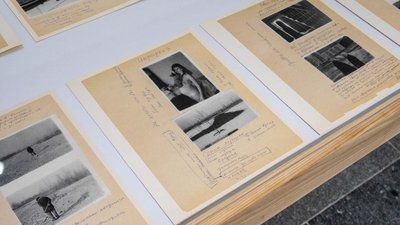 Архів Харківської школи фотографії з'явився онлайн Архів Харківської школи фотографії з'явився онлайн