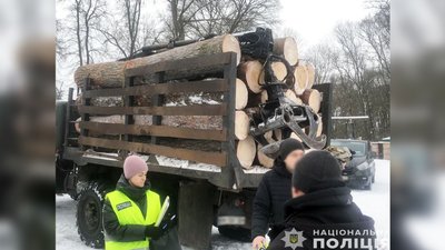 Поліція Чернігівщини підозрює групу людей у вирубці дерев на 10 мільйонів гривень