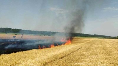 Горять очерети, суха трава, поля. На Дніпропетровщині за добу сталося 37 пожеж в екосистемах Горять очерети, суха трава, поля. На Дніпропетровщині за добу сталося 37 пожеж в екосистемах