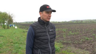 У екологічних умовах: на Черкащині фермер вирощує спаржу У екологічних умовах: на Черкащині фермер вирощує спаржу