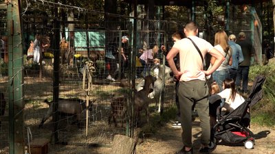 У харківському екопарку знайшли мертвими близько 20 тварин: попередньо, їх отруїли миш'яком
