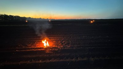 Весняні заморозки на Сумщині: як протидіяти та чим рятуватися Весняні заморозки на Сумщині: як протидіяти та чим рятуватися