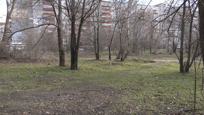 "Помер за дві години після прогулянки". Житель Дніпра заявляє, що його собаку отруїли "догхантери" "Помер за дві години після прогулянки". Житель Дніпра заявляє, що його собаку отруїли "догхантери"