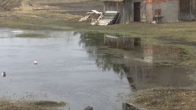 У громаді на Волині підтоплені гектари угідь та пасовищ У громаді на Волині підтоплені гектари угідь та пасовищ
