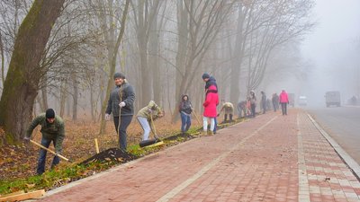 Висадка дерев на Береговій у 2018 році Висадка дерев на Береговій у 2018 році