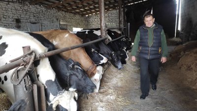 Більше 300 волинських фермерів подали заявки на отримання держдопомоги Більше 300 волинських фермерів подали заявки на отримання держдопомоги