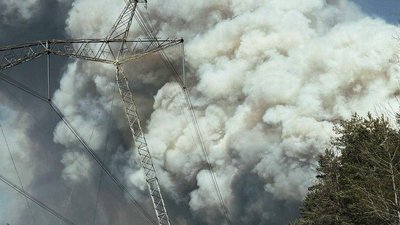 Пожежа у Зоні відчуження